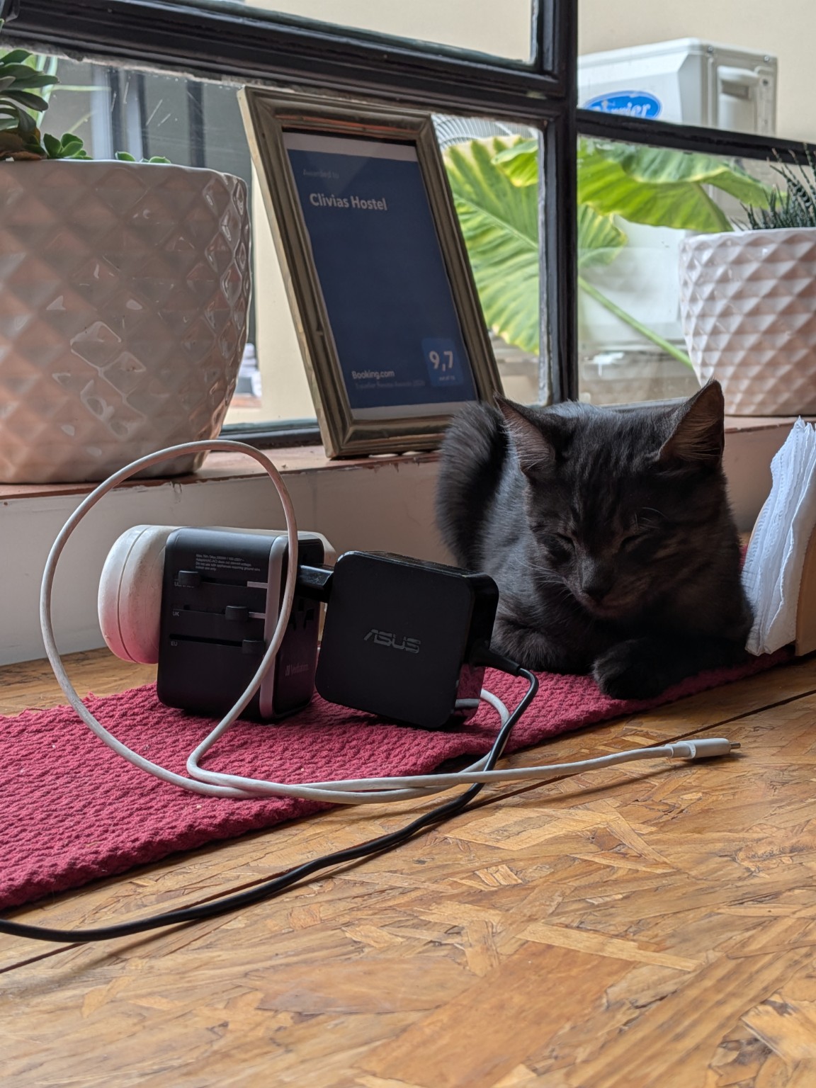 A black hostel cat dozing on a windowsill beside travel plug adapters and a laptop charger.
